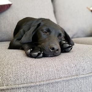 Meet your Posher, Nick